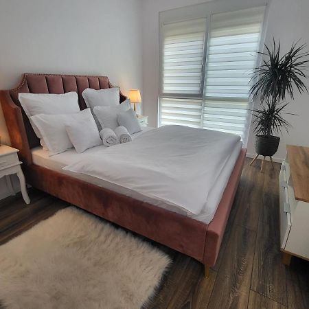 Sika Sunny Garden Apartment Arad Exterior photo